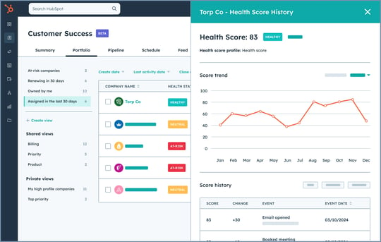 Simplified HubSpot UI showing the customer success workspace with various views and information