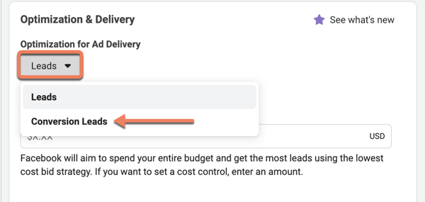 conversion-leads-optimization-and-delivery-option