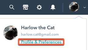 actualizar-perfil-e-preferências (1)