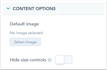 field-content-options