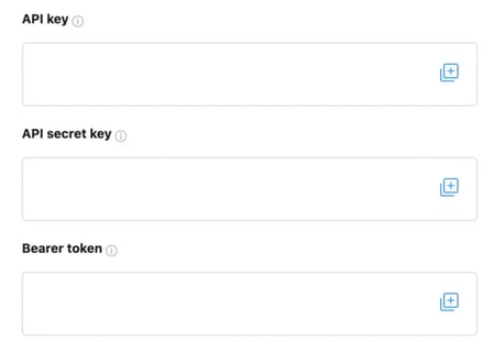 Screenshot of API key and token screen while setting up twitter/x API