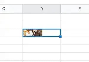 Screenshot showing how an image appears in a Google Sheet field when uploaded