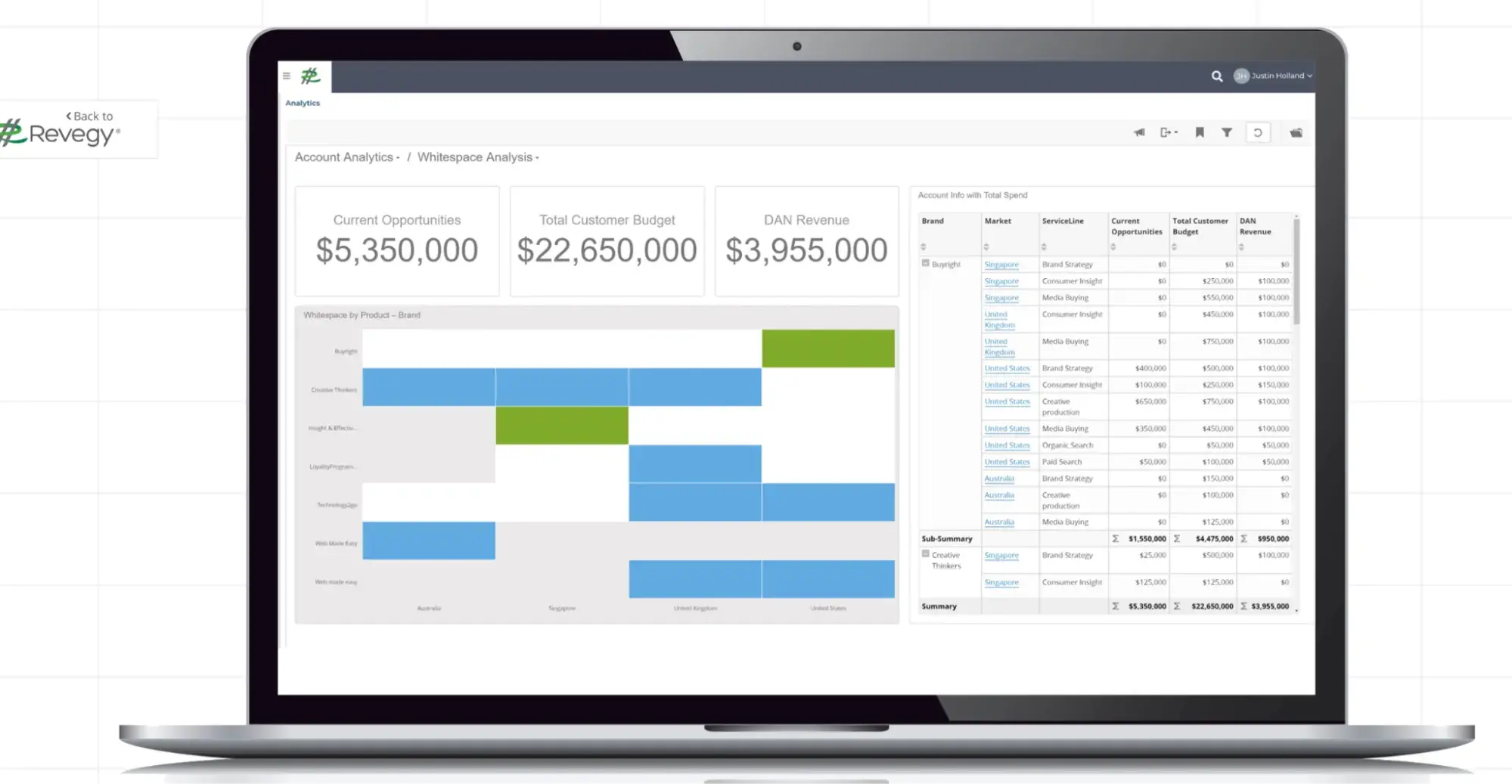 sales account planning template, revegy