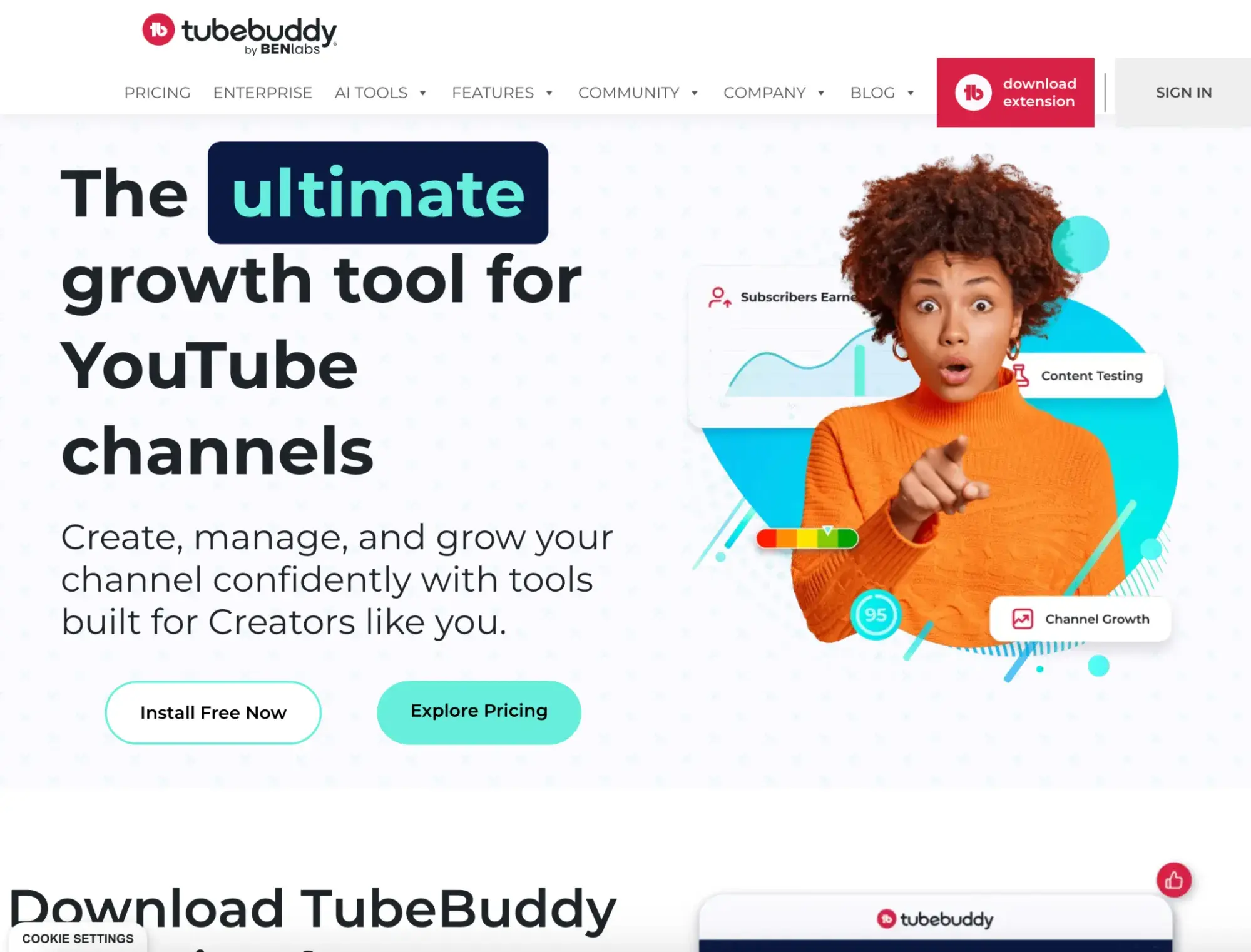 : TubeBuddy homepage.