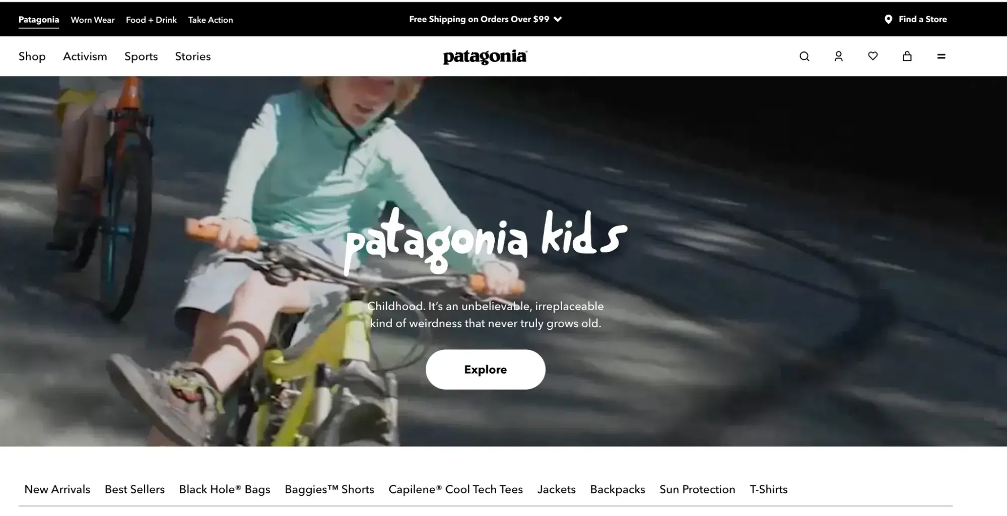  accessible website example, Patagonia