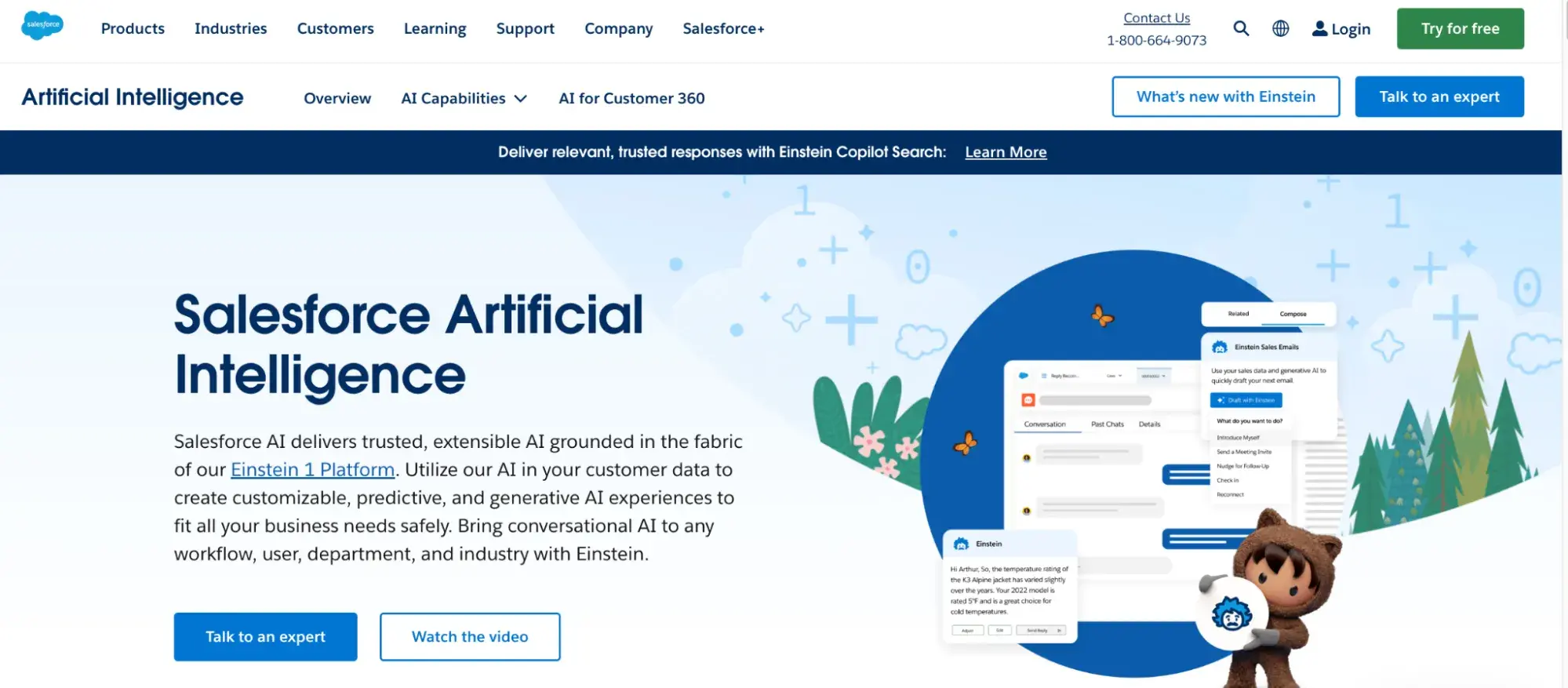 ai service providers, Salesforce Einstein AI