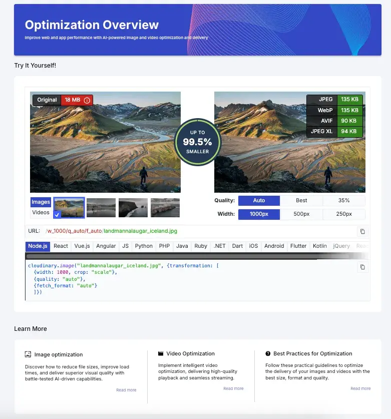 Optimization overview showing the compression of an image and different code languages to compress it.