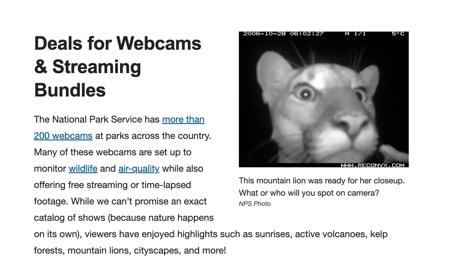 Screencap of National Park Service website’s “Deals for Webcams & Streaming Bundles” with a close-up webcam photo of a mountain lion. 