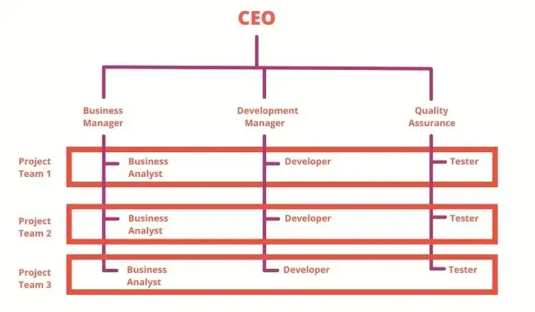 the infographic shows a visual representation of the matrix organizational structure