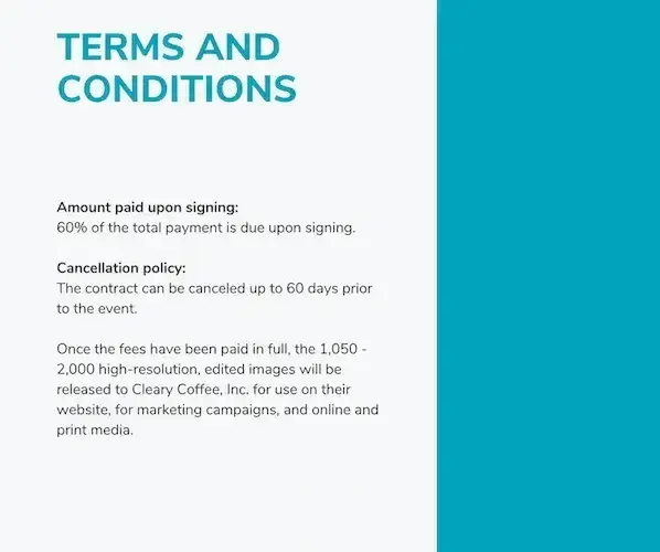 terms and conditions in a business proposal, business proposal template