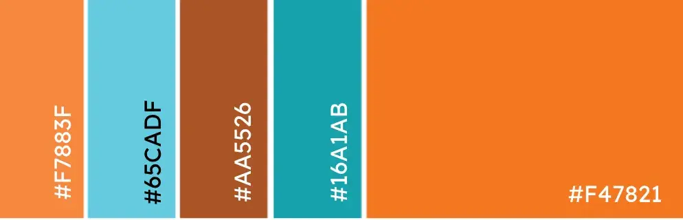 Complementary color palette. Hex codes: #F7883F, #65CADF, #16A1AB, #F47821.