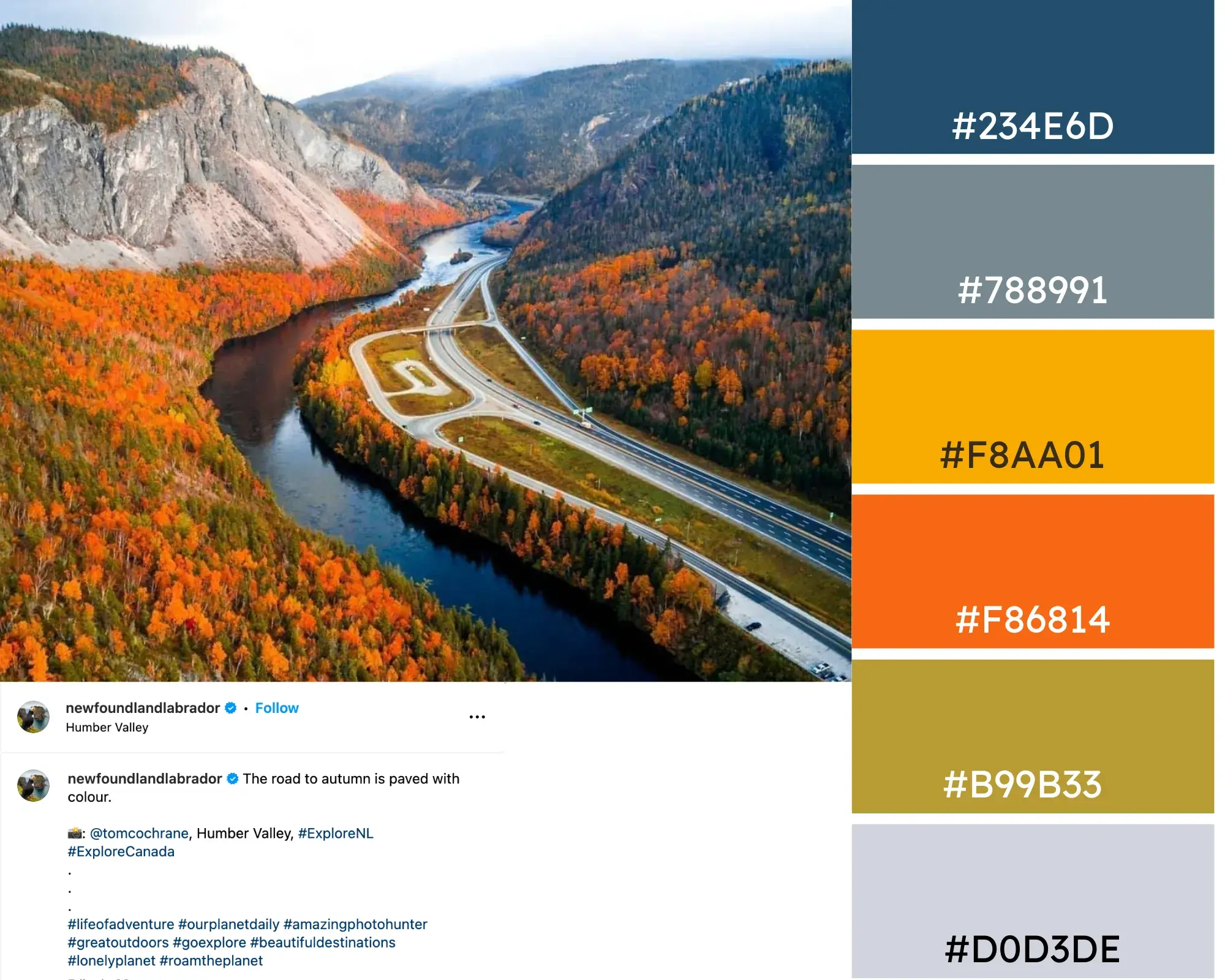 Instagram photo of fall foliage in the Humber Mountains, with corresponding color palette. Hex codes: #234E6D, #788991, #F8AA01, #F86814, #B99B33, #D0D3DE.