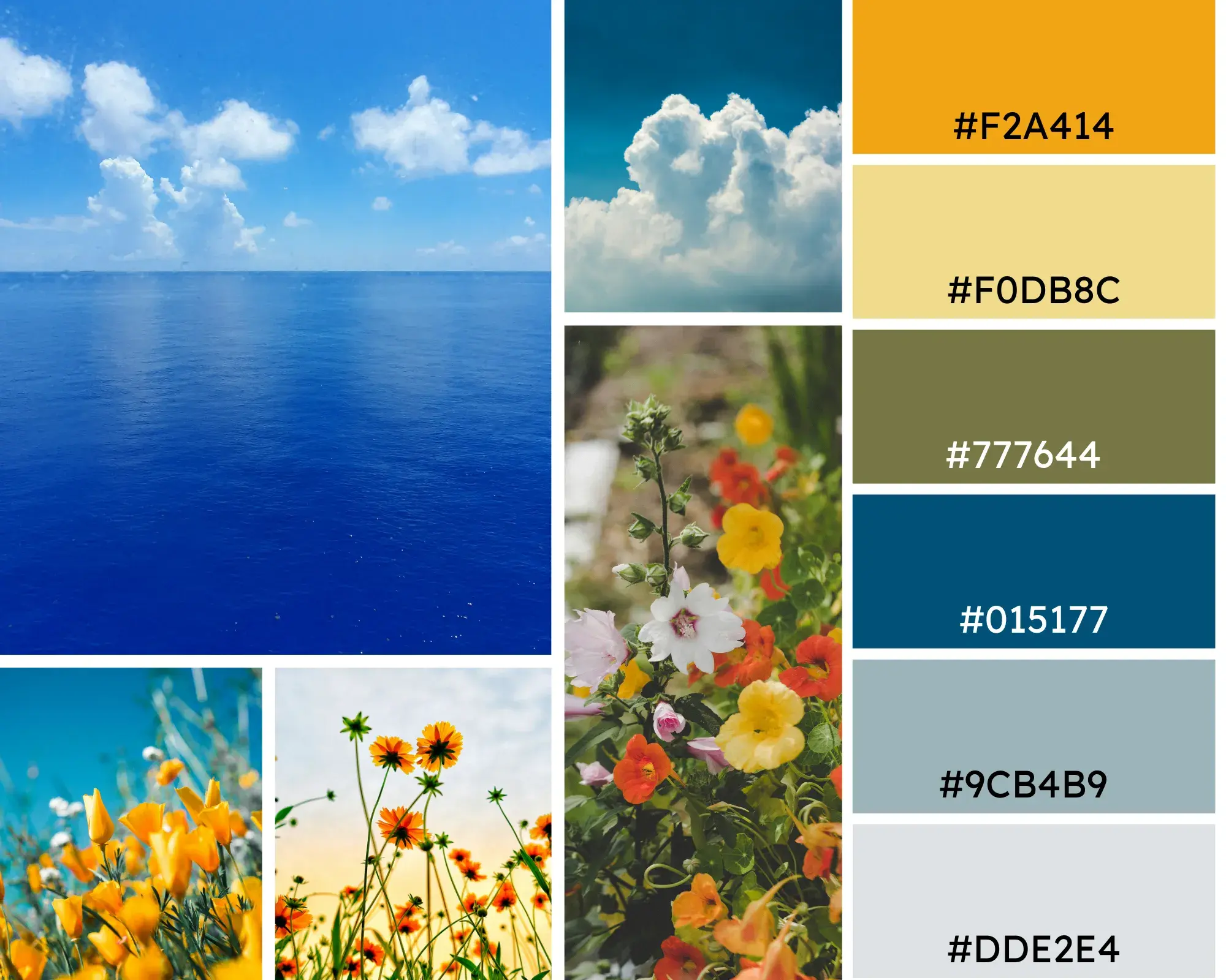 Photos of blue skies, white clouds, and yellow and orange flowers, with a corresponding color palette. Hex codes: #F2A414, #F0DB8C, #777644, #014177, #9CB4B9, #DDE2E4.