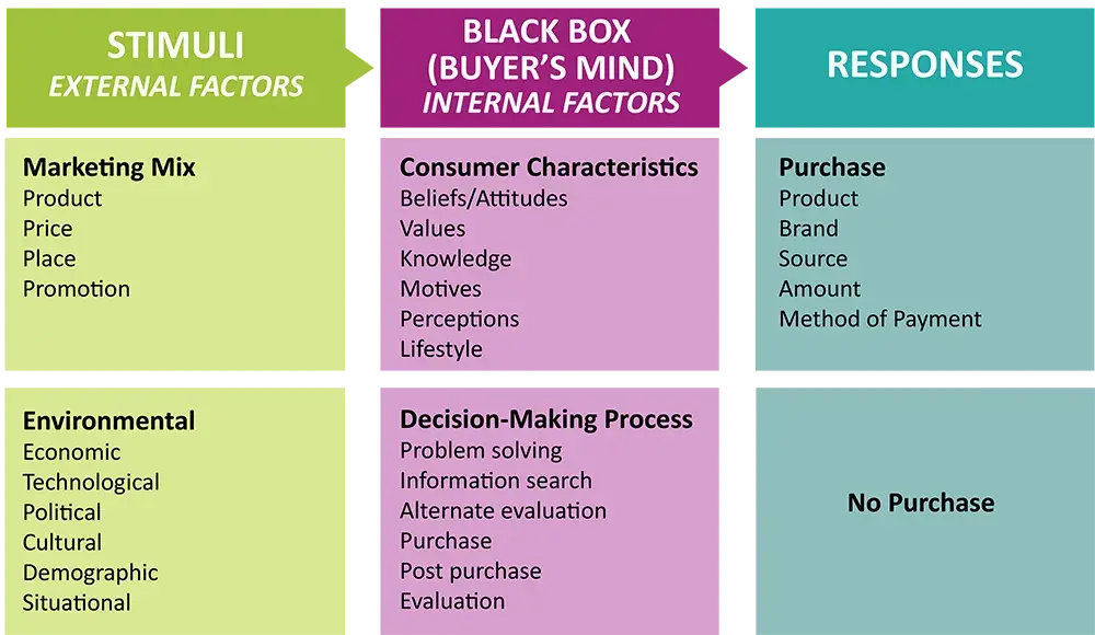 black box model of consumer behavior graphic