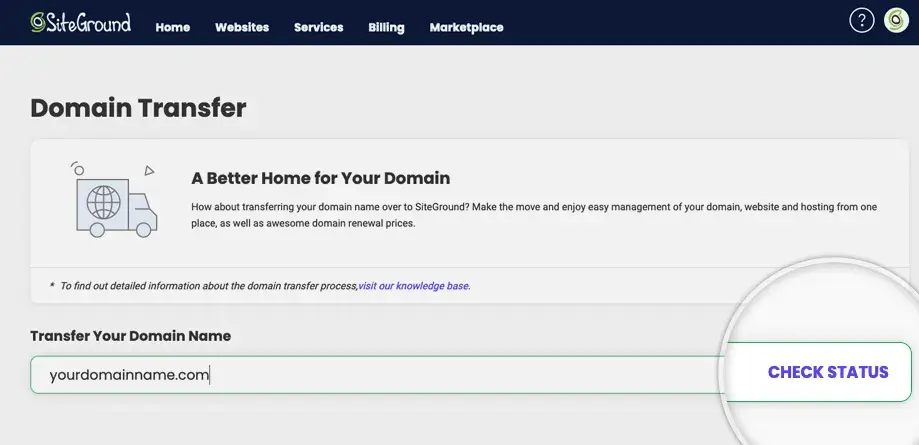 How to check the status of your Wix domain name.