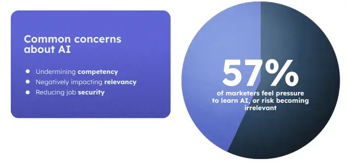  Chart showing marketers concerns with AI.