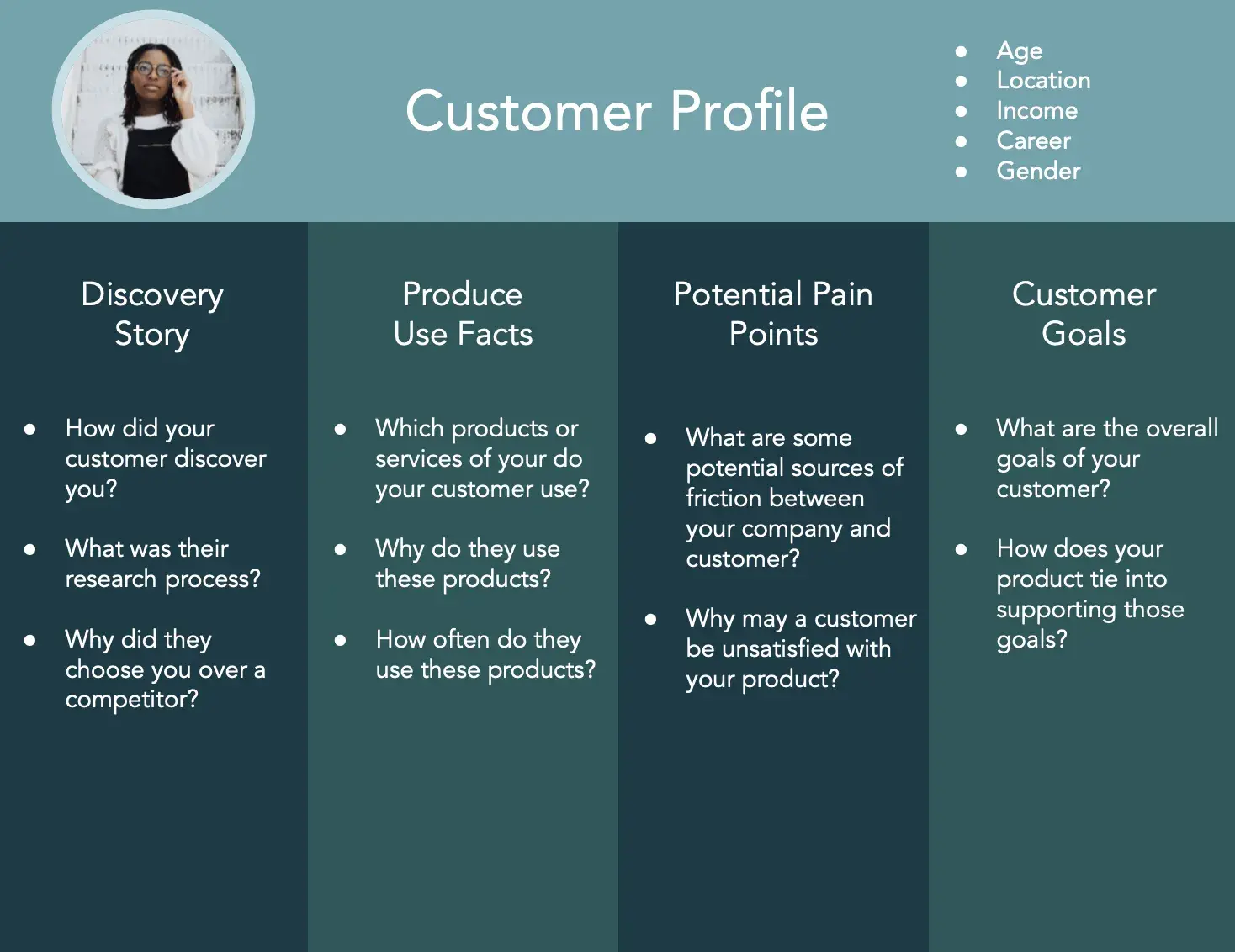 customer profile that includes sections for discovery story, product use facts, pain points, and customer goals