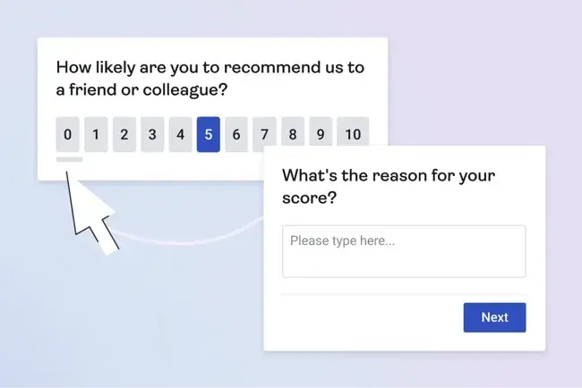  Net promoter score (NPS) for customer experience