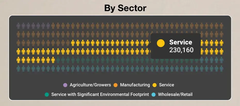 data visualization, workforce of the b corps