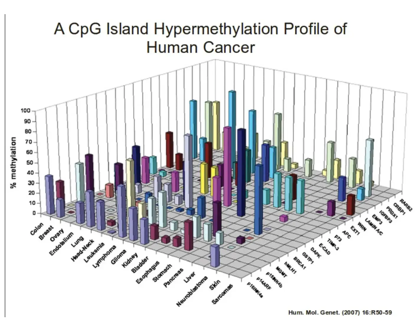 data visualization examples, cpg island