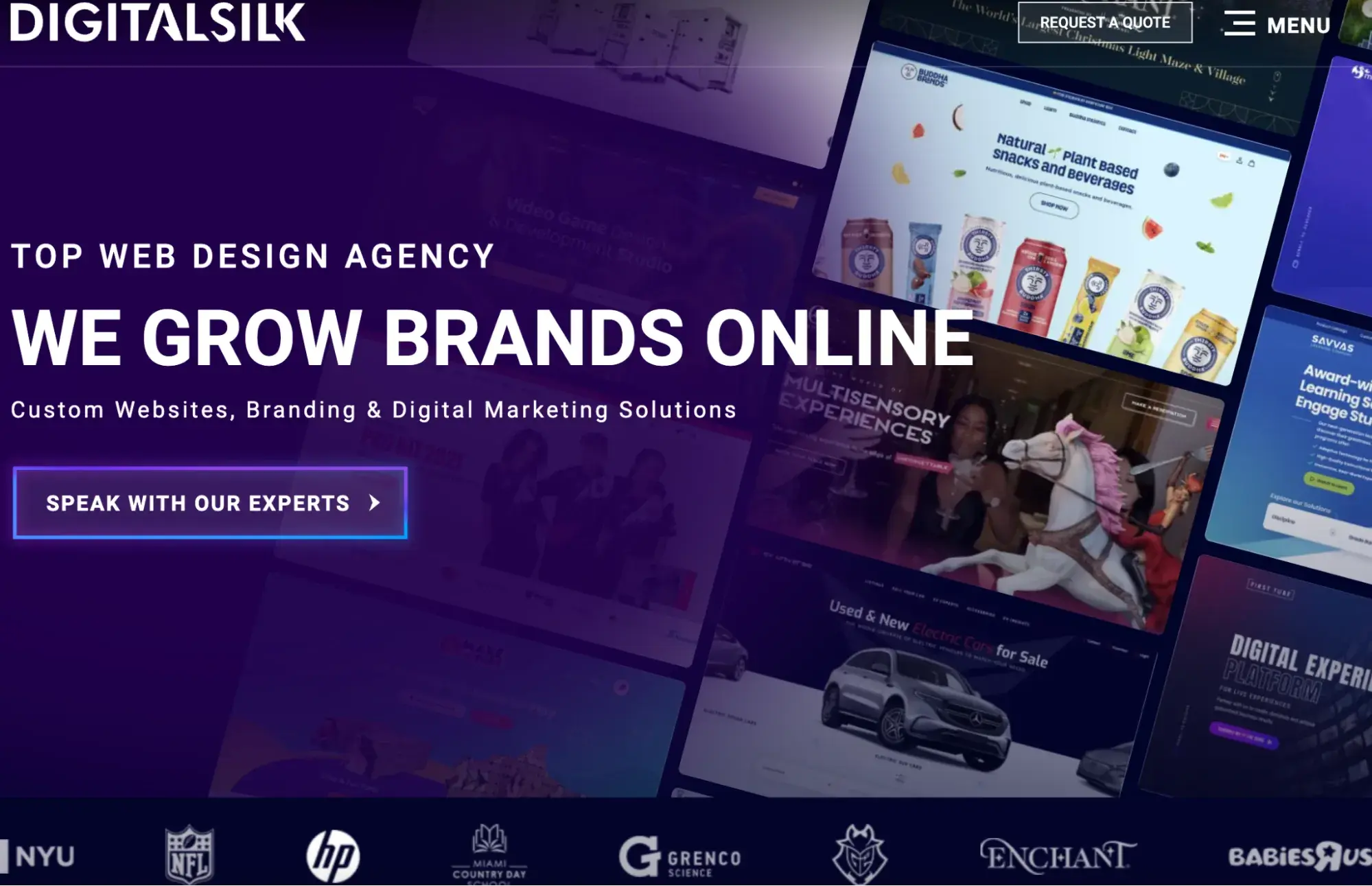 website marketing examples, Digital Silk