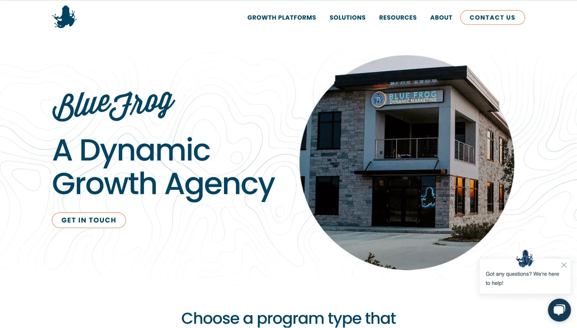 best marketing websites, blue frog