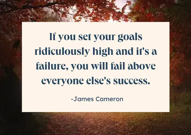 Road to success quotes - If you set your goals ridiculously high and it‘s a failure, you will fail above everyone else’s success by James Cameron