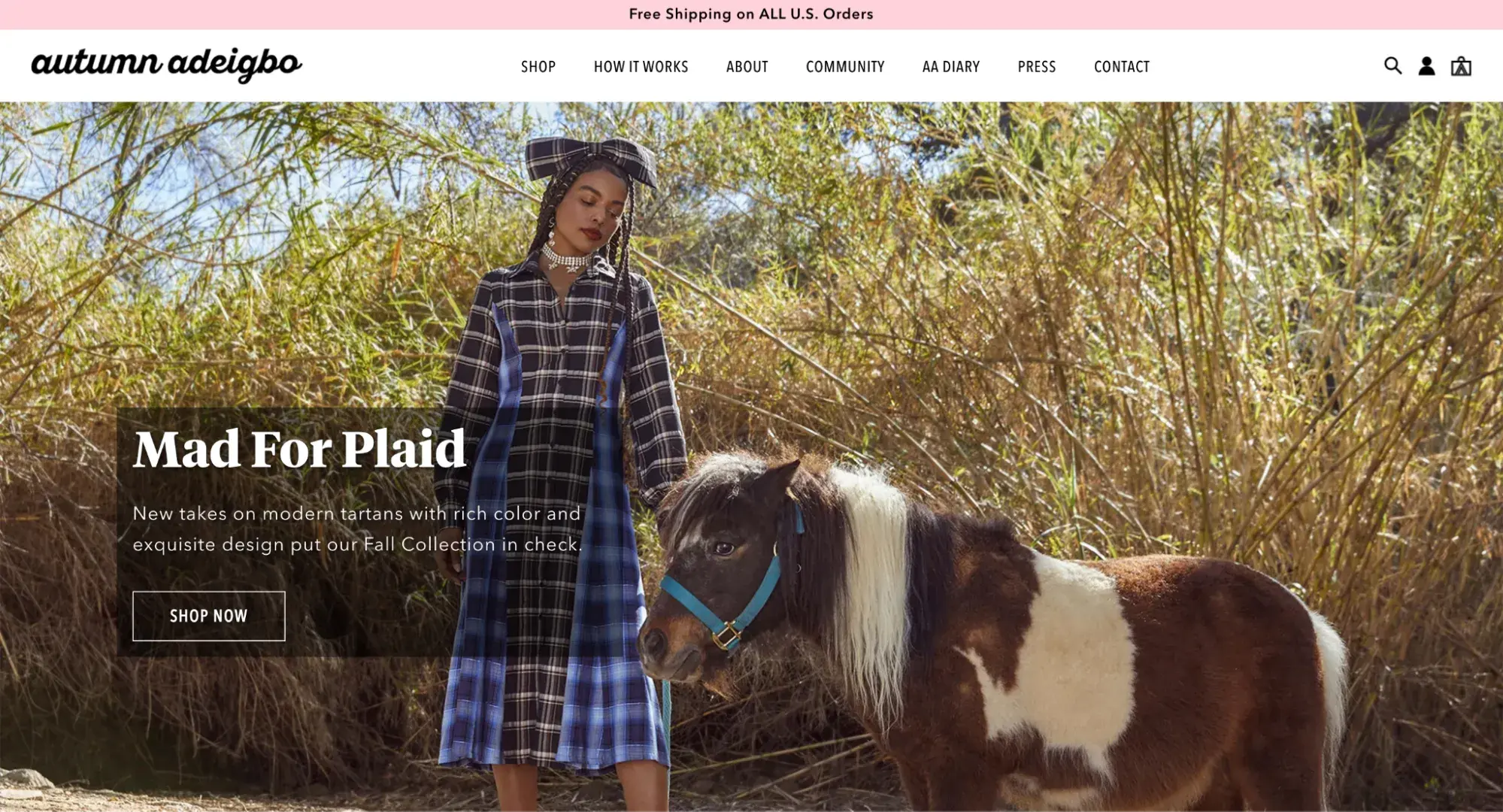 fashion web design example from autumn adeigbo