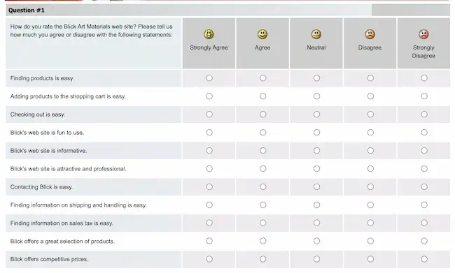 feedback form examples, blick