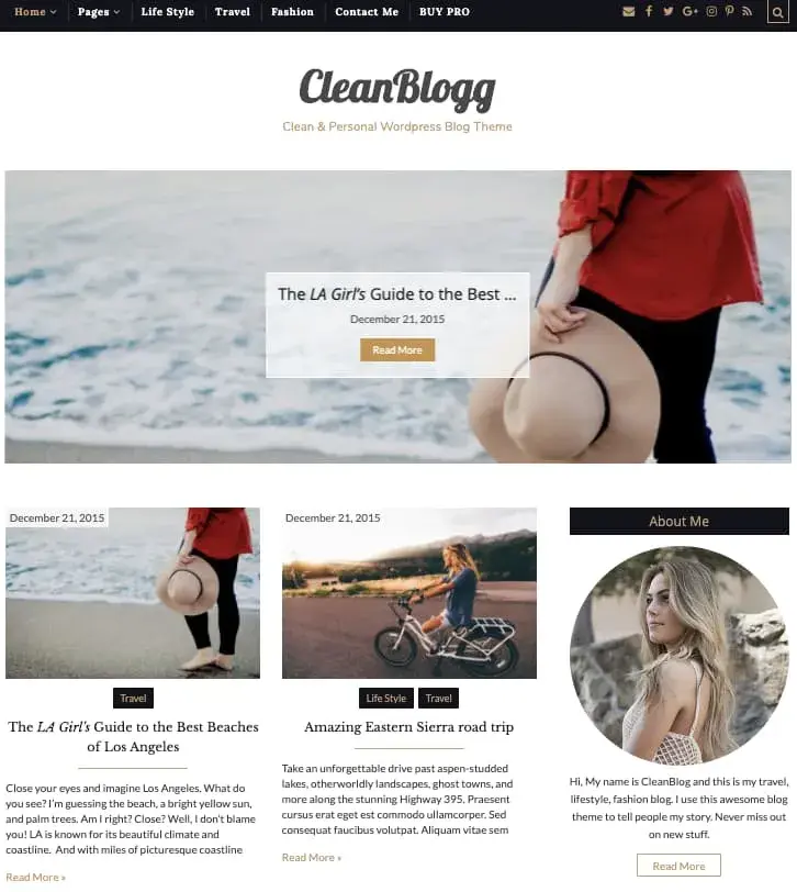 free bootstrap based wordpress theme: cleanblogg