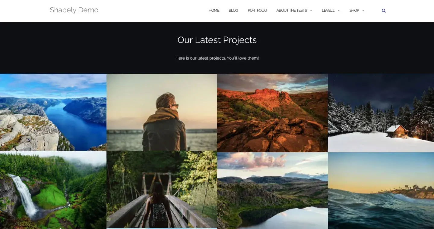 free bootstrap based wordpress theme: shapely