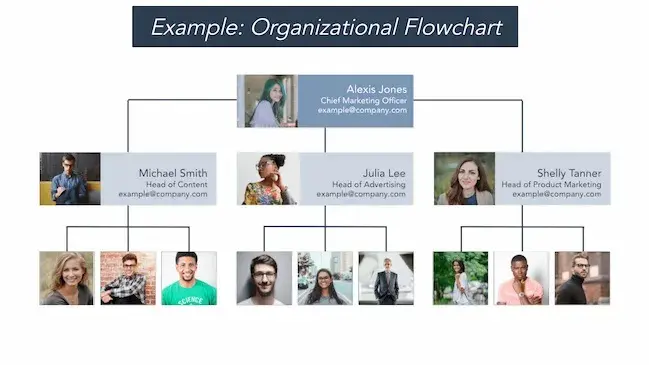 organizational flowchart example showing org chart