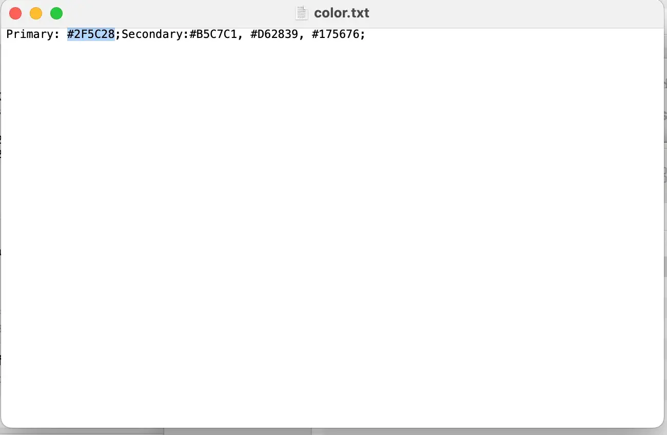 text file with list of color codes from the brand kit generator