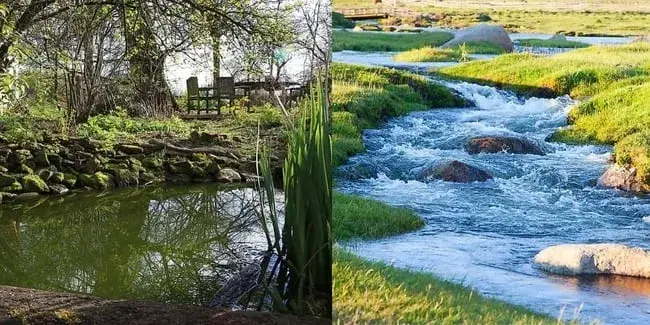 Using a pond and a stream as metaphors for how to code a website from scratch.