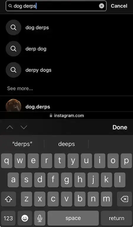 screenshot showing a sample search in the instagram app.