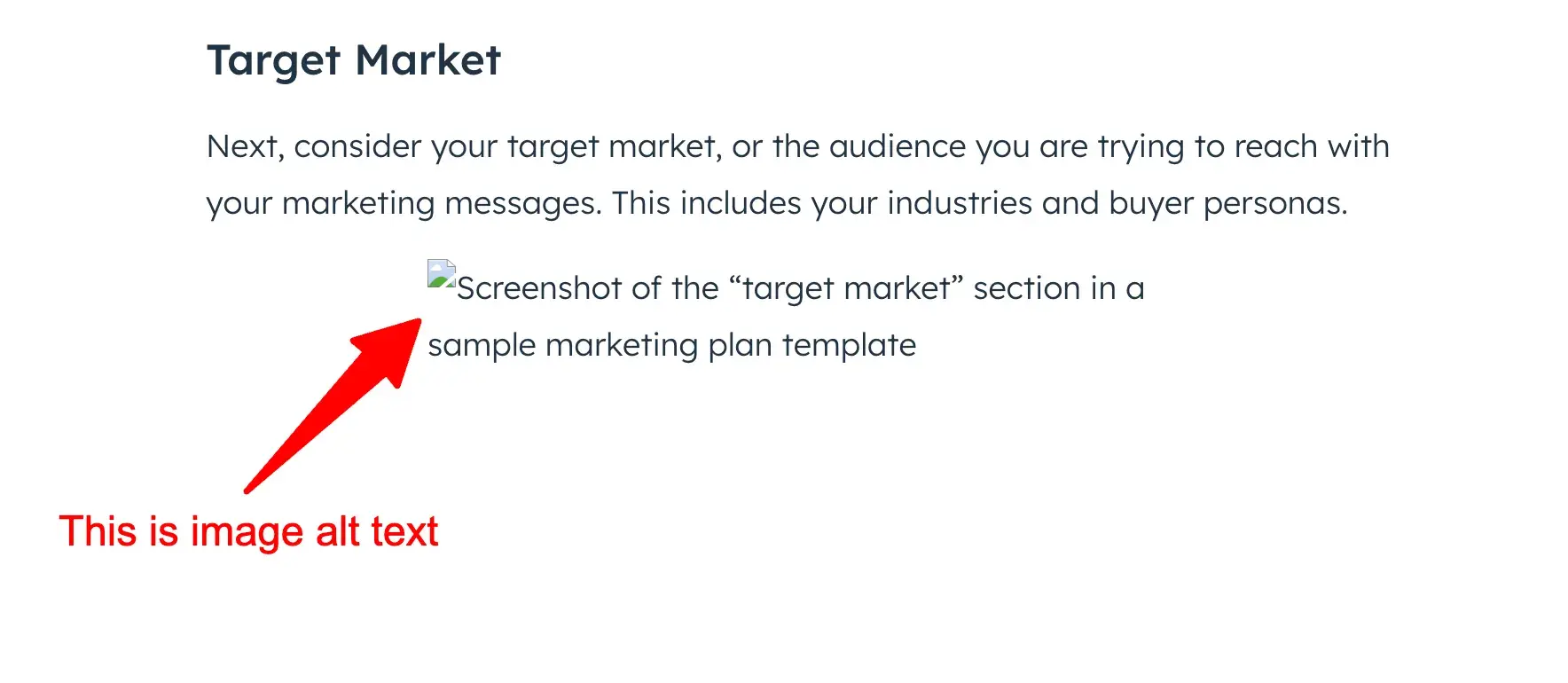 Image alt text appearing on a web page where an image failed to load. The image alt text reads, “Screenshot of the ‘target market’ section in a sample marketing plan template”