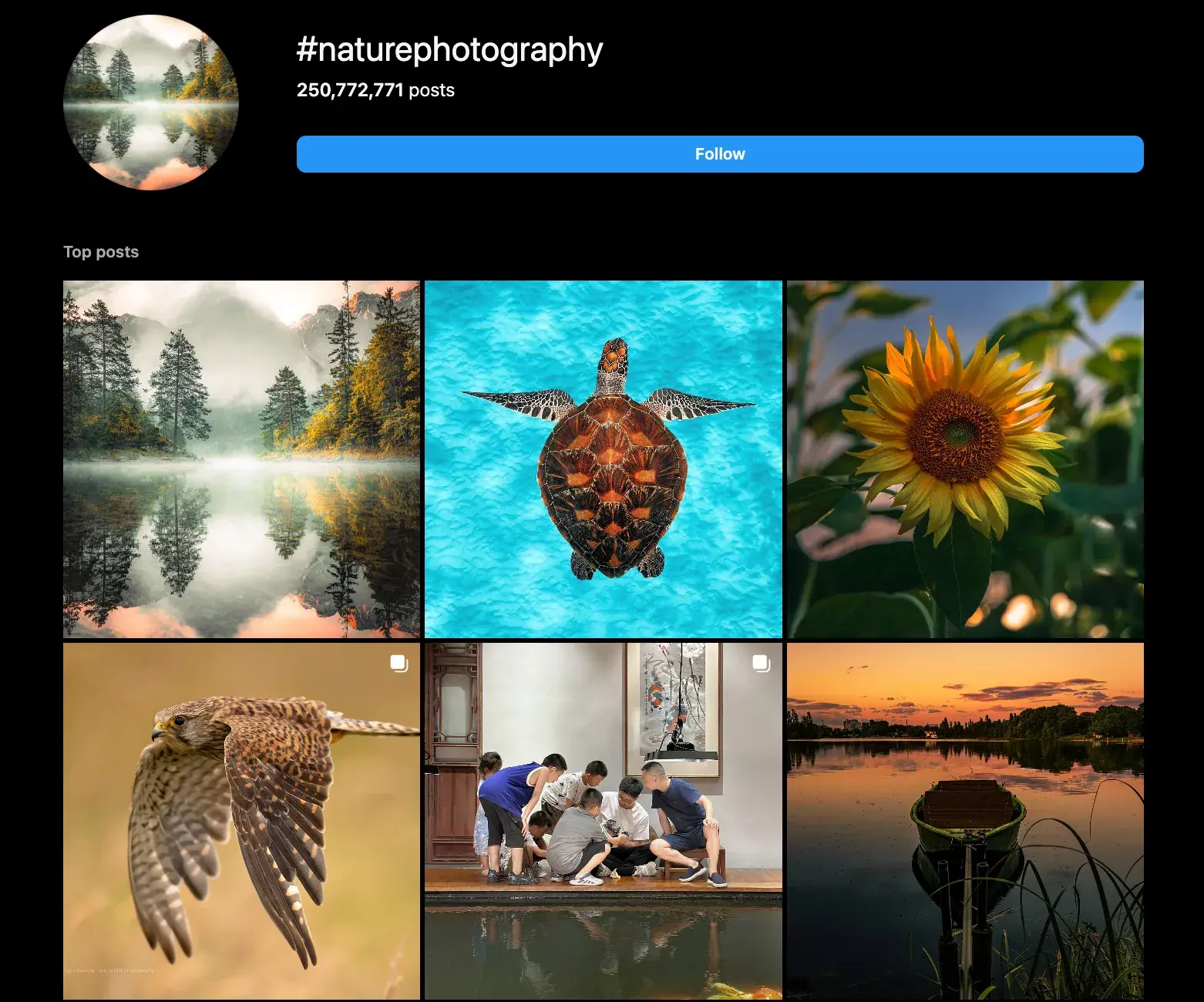 best instagram hashtags for photography 