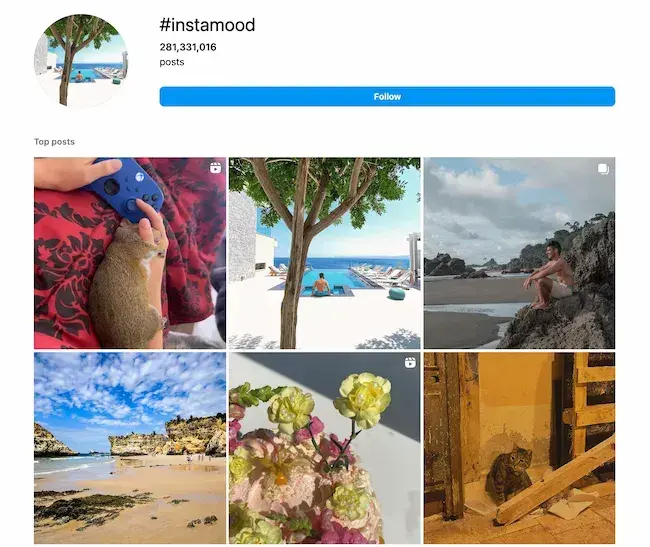 best instagram hashtags for likes and follows