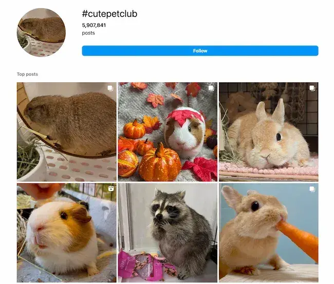 best instagram hashtags for individuals 