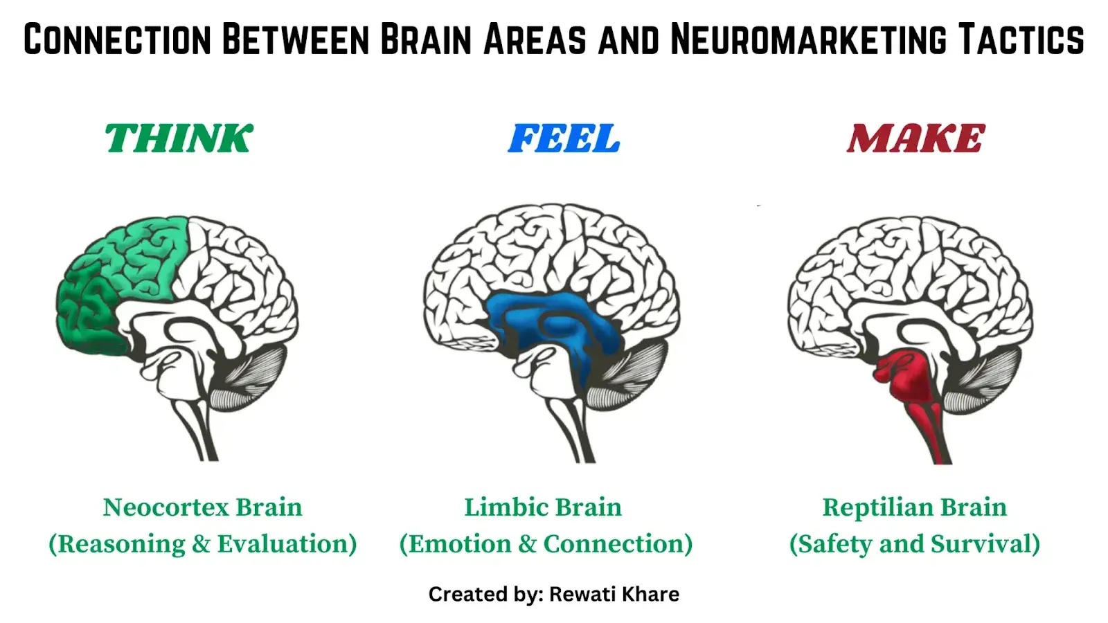 Connection between brain areas and neuromarketing tactics