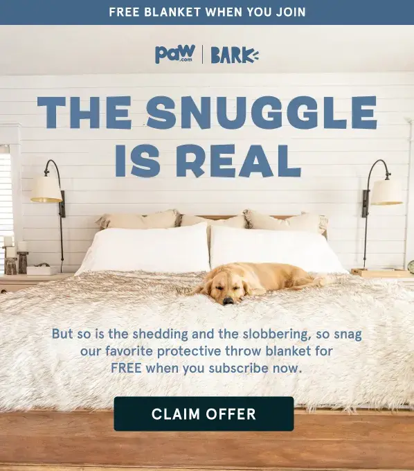 text barkbox emails are fun types of marketing campaigns.