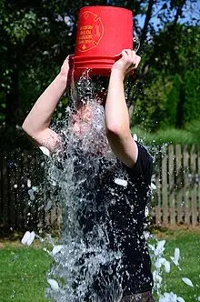 the als ice bucket challenge is an example of ugc marketing campaigns.