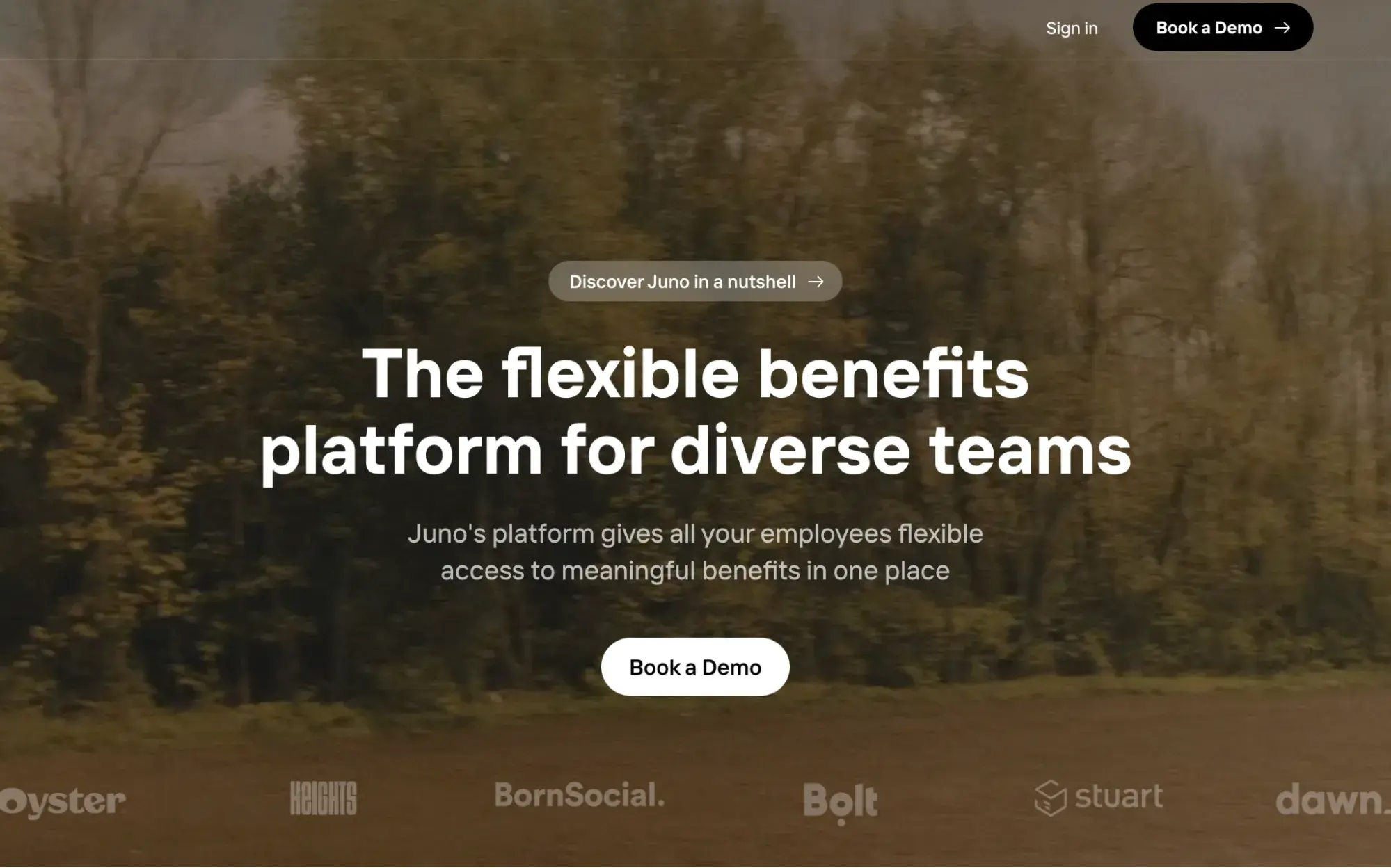 best SaaS website design example: juno