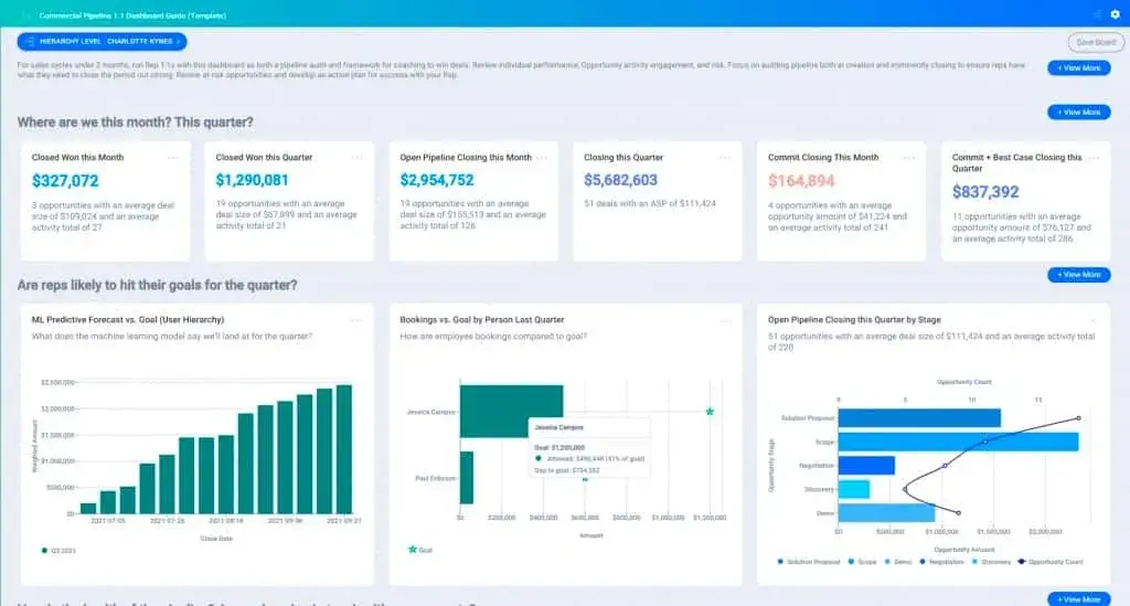 sales dashboard examples, Sales Rep Dashboard