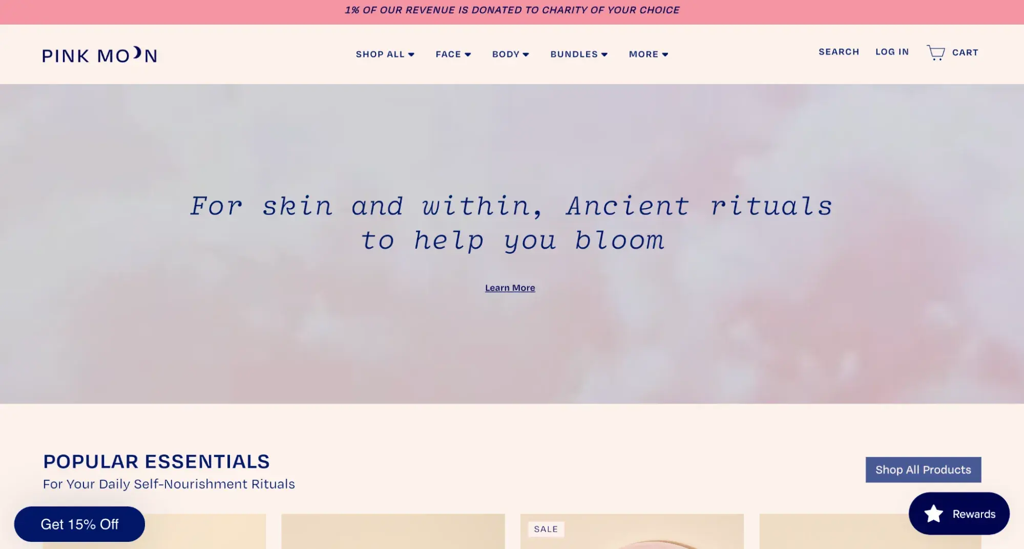 simple website example from pink moon