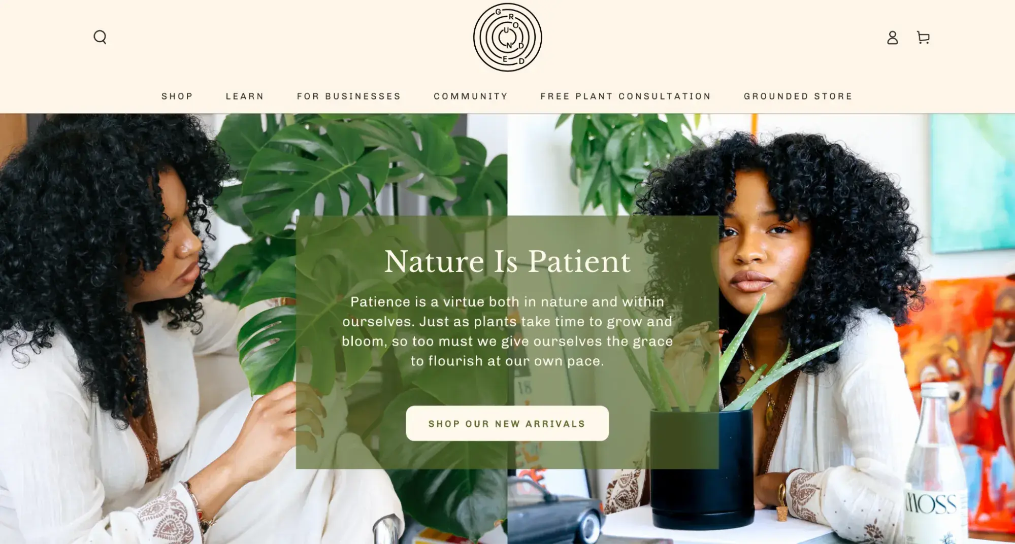 simple website example from grounded plants