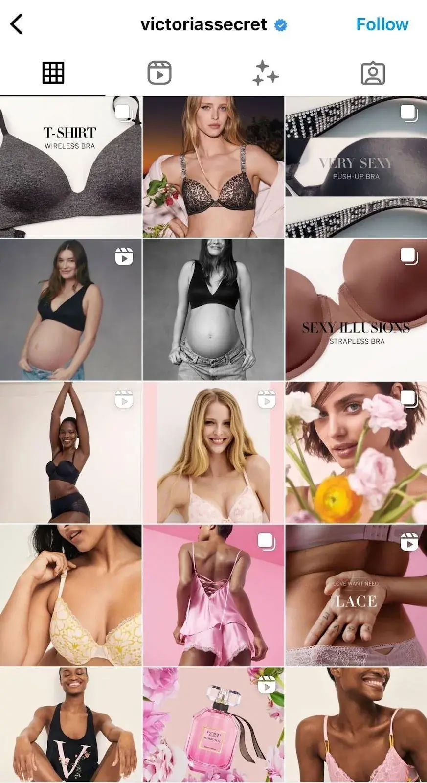 Screenshot of Victoria Secret's Instagram profile