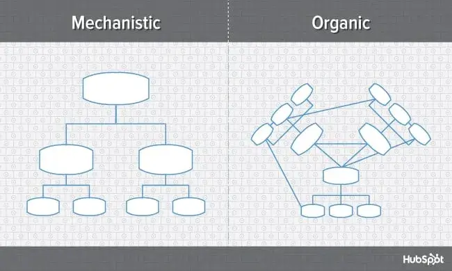 organizational structure, mechanistic vs organic