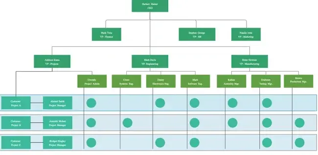 organizational structure, company