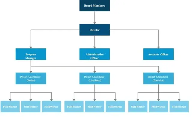 organizational structure, nonprofit